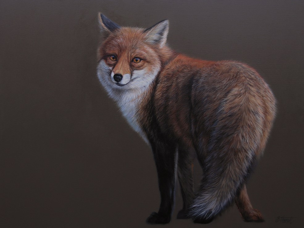 Reinecke Fuchs