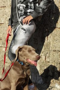 Tierfreunde Hunde Bomberjacke Digitalprint Familie Zwillinge Labrador Weimaraner