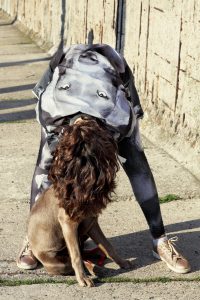 Labrador Weimaraner Tierfreunde Hunde Bomberjacke Digitalprint Familie Zwillinge