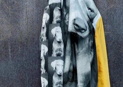 Weimaraner, Labrador Tierfreunde Hunde Bomberjacke Digitalprint Familie Freunde