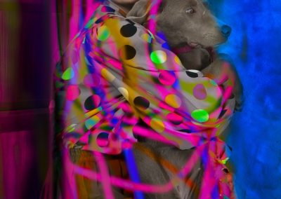 Sensation Fotoshooting Paulina Tsvetanova Kunst Desing Mode Berlin Inszenierung Kuratorin Weimaraner