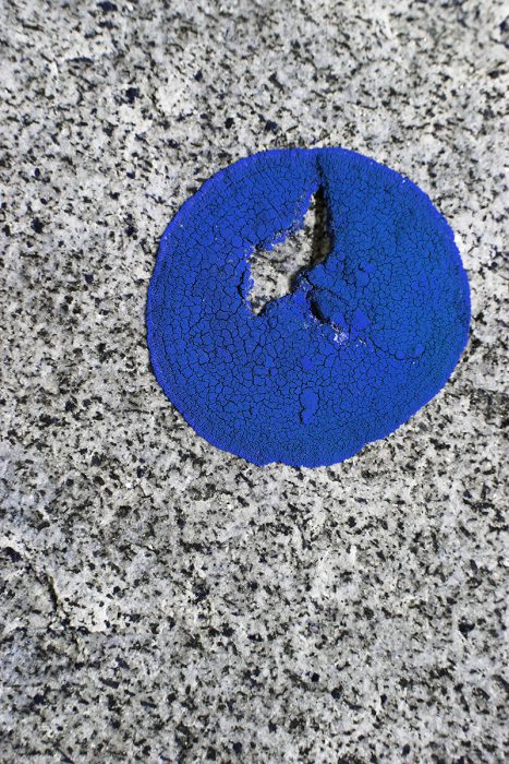 Jessica Backhaus Fotografie blau