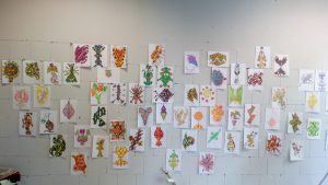 Paulina's Friends Fashion